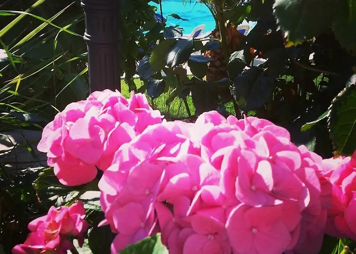 Grand Degli Angeli Hotel 4*